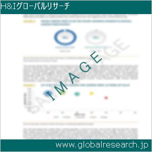 グローバルリサーチ調査レポートのイメージ